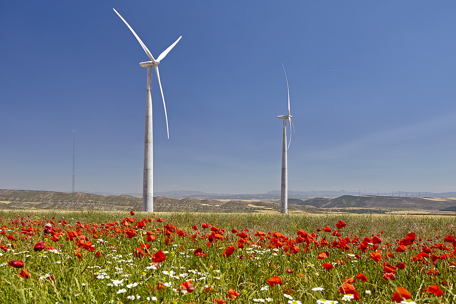 Leading sustainable investment