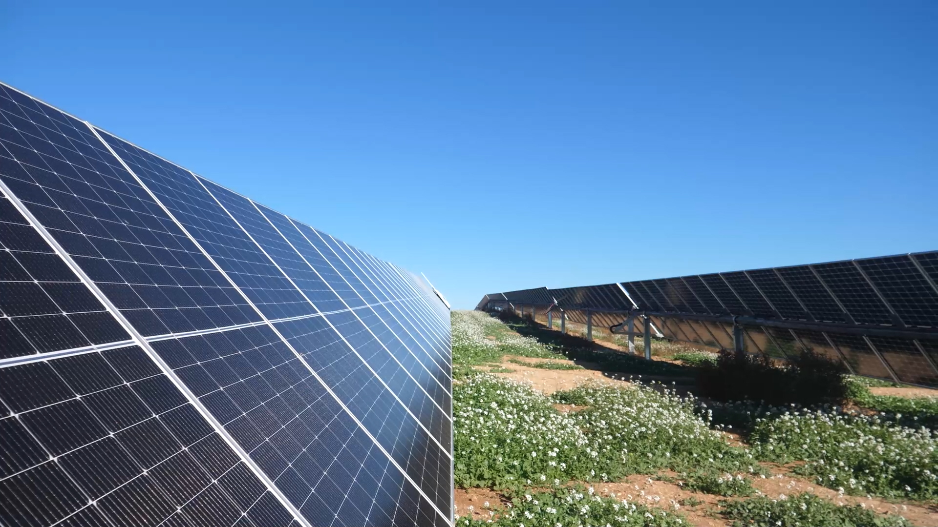 Driving the decarbonisation of the economy for more than 30 years